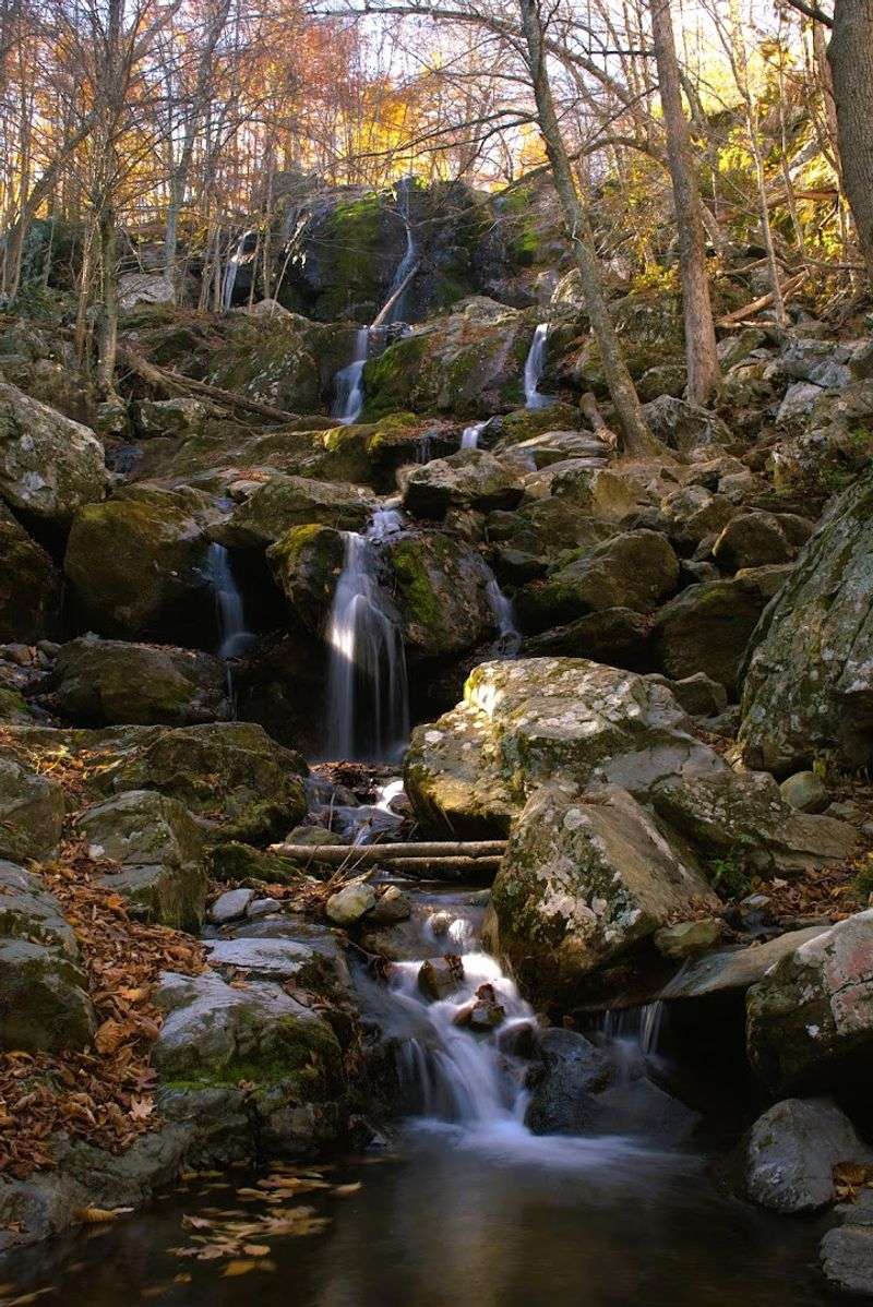 Best Times To Visit For The Most Rewarding Experience