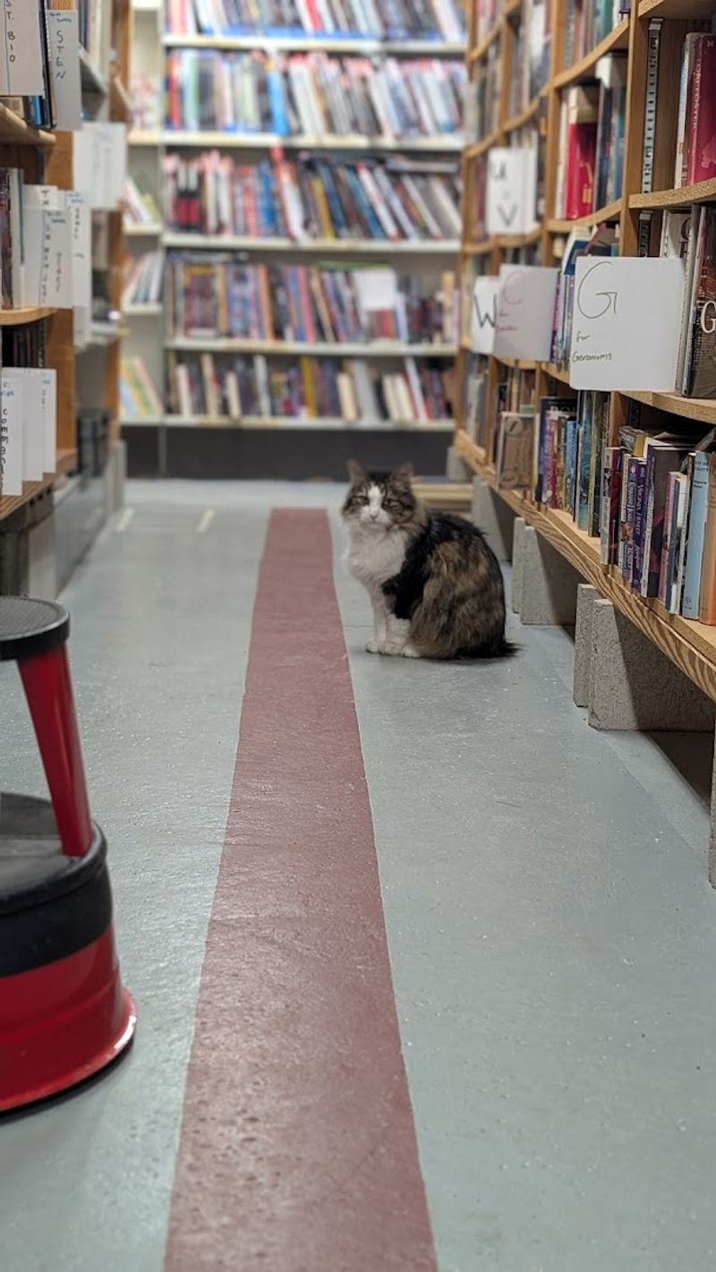 Rare Finds And First Editions For Serious Collectors