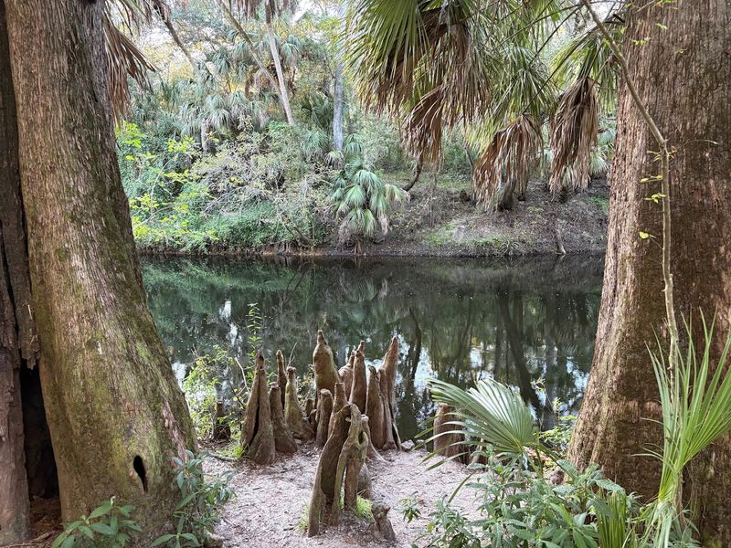 Hidden Spots  And Views Worth Pausing For