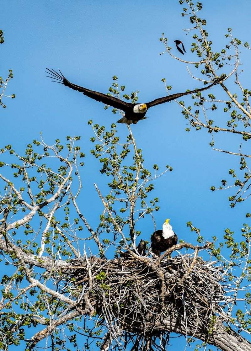 The North Platte River Runs Right Through The Backyard