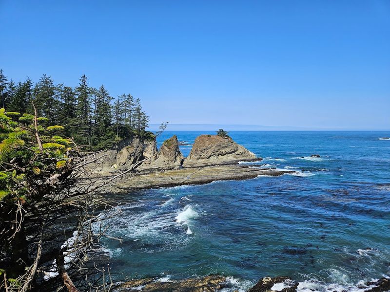 Shore Acres State Park