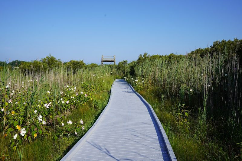 The Untouched Coastal Escape That Feels Wild From The Start