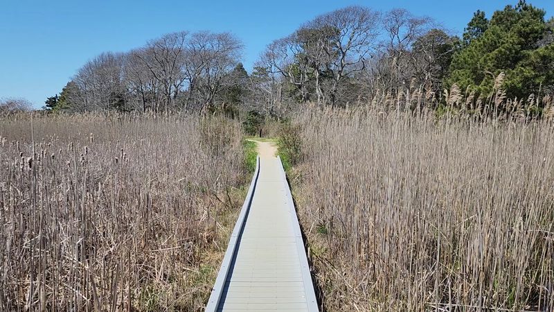 Wildlife Here Steals The Show Without Even Trying