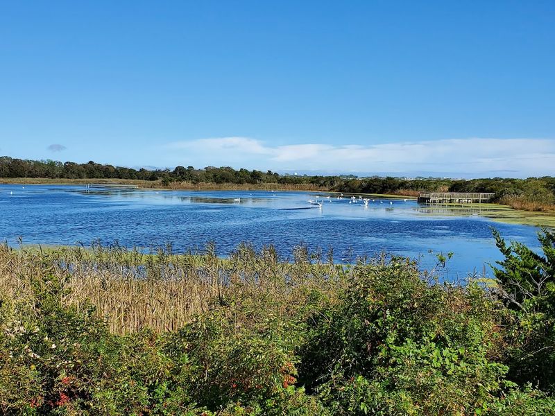 Boardwalk Sections Show Off A Different Side Of The Park
