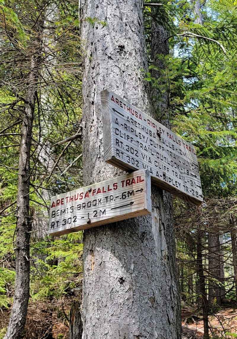 The Trail Itself Is A Journey Worth Savoring