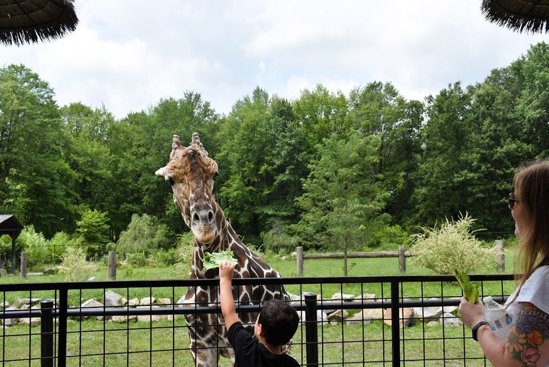 What Makes This Park Stand Out