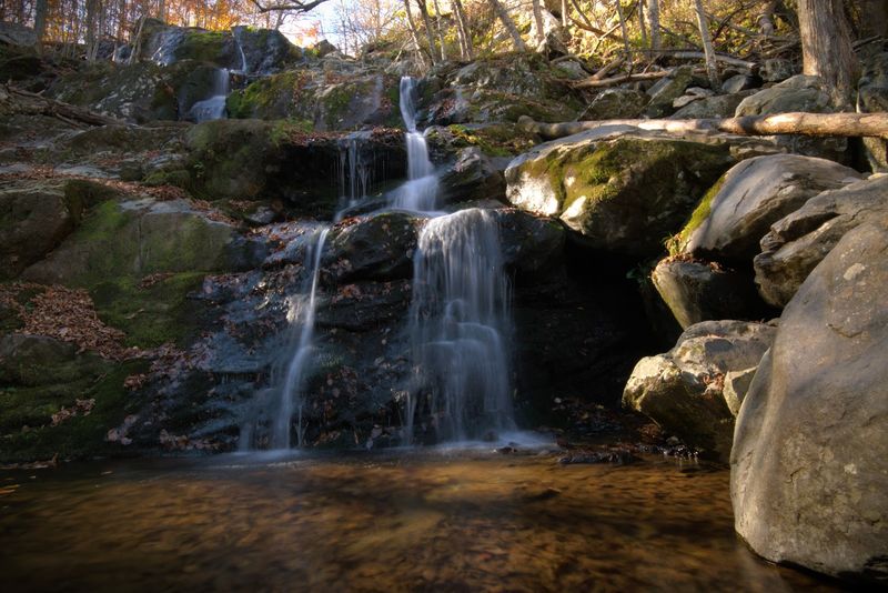 What Makes This Trail Stand Out From The Crowd