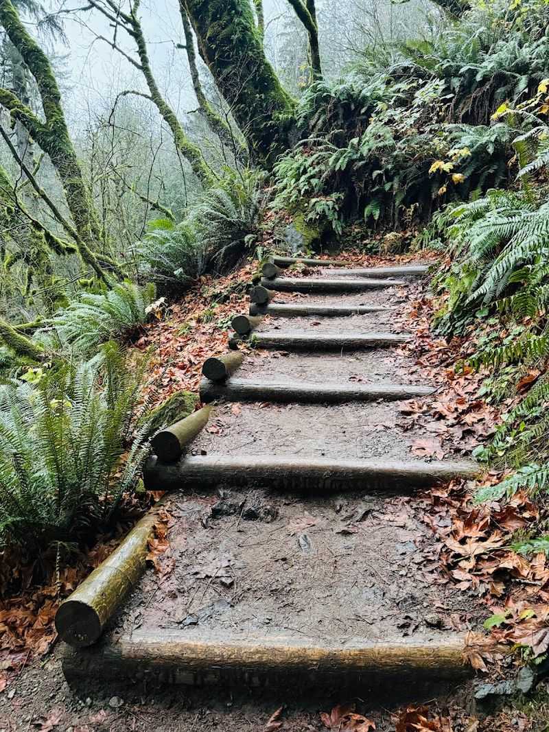 The Trail That Starts It All