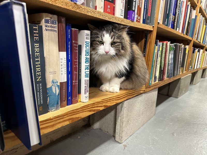 A Bookstore That Defies Its Exterior