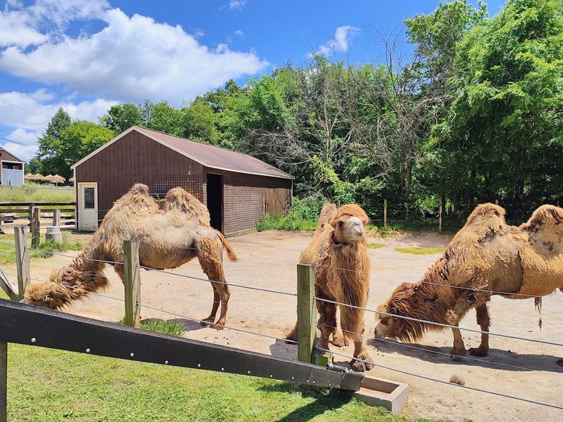 A Zoo That Thinks Bigger Than The Average Zoo