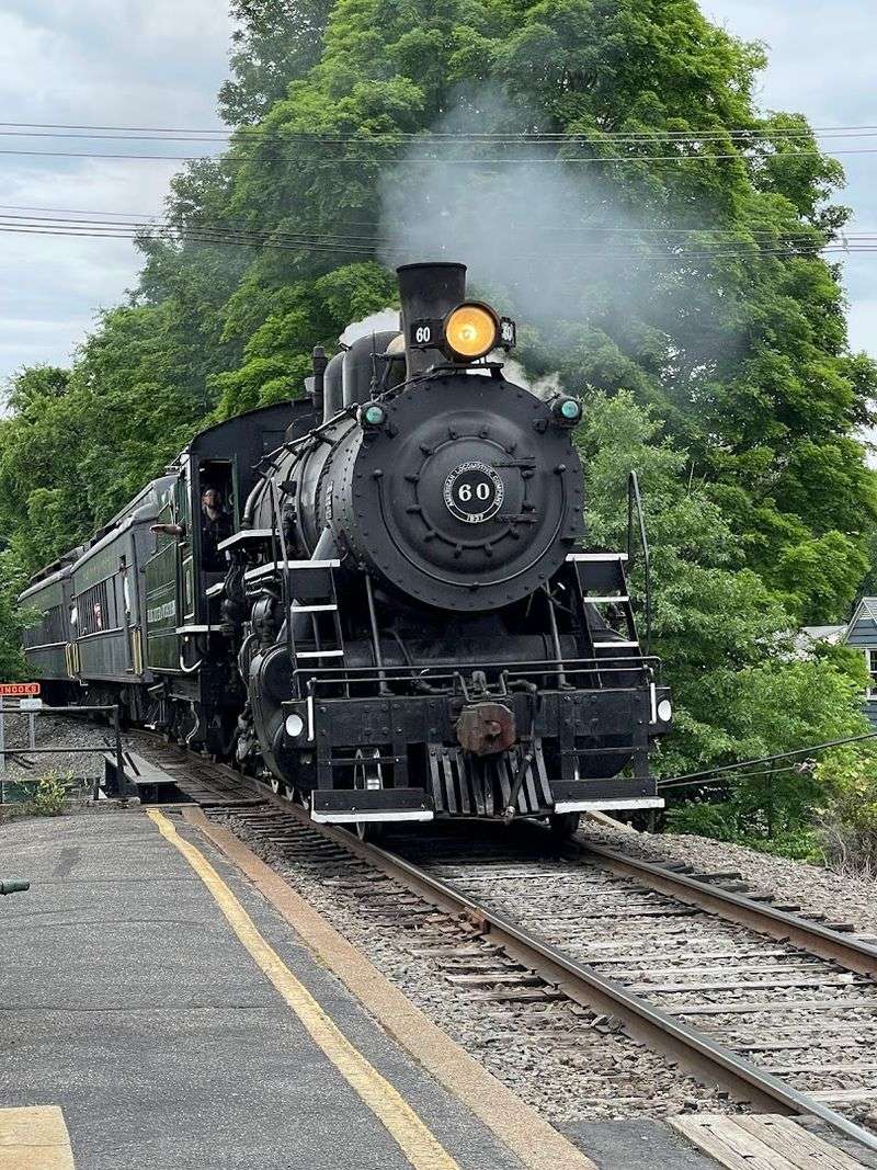 A Railroad With Real Roots