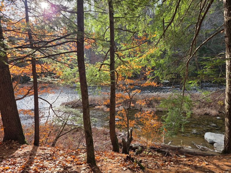 Wildlife Watching And What You Need To Know