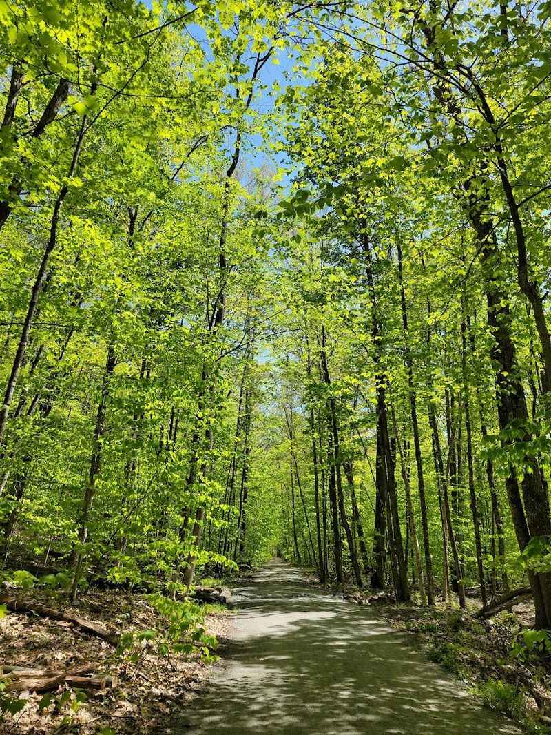The West River Trail That Is Beautiful And Surprisingly Addictive