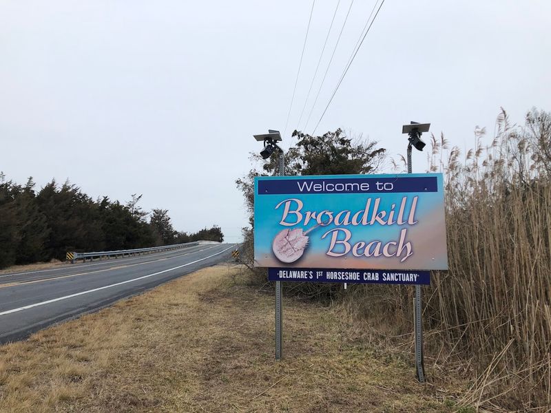 A Beach That Time Forgot