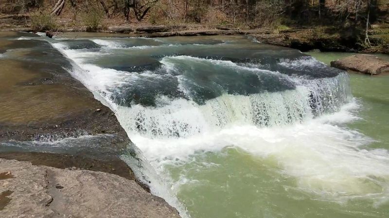 Where Arkansas Shows Off Its Wilder Side
