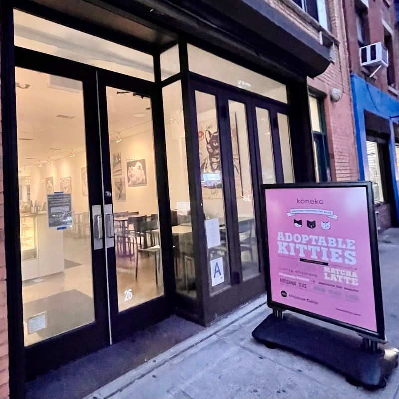 Where Purrs And Coffee Are Served In Equal Measure