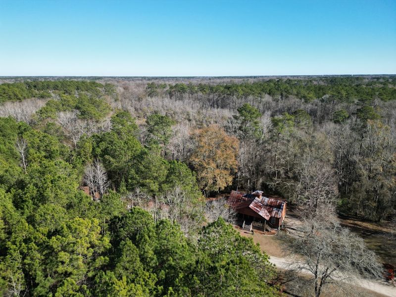 What Makes A Carolina Bay So Rare And Special