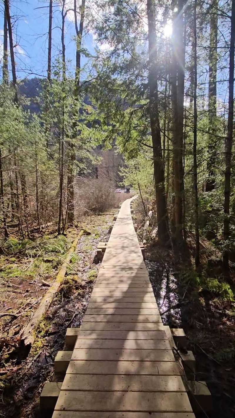 The Trail That Punches Way Above Its Weight