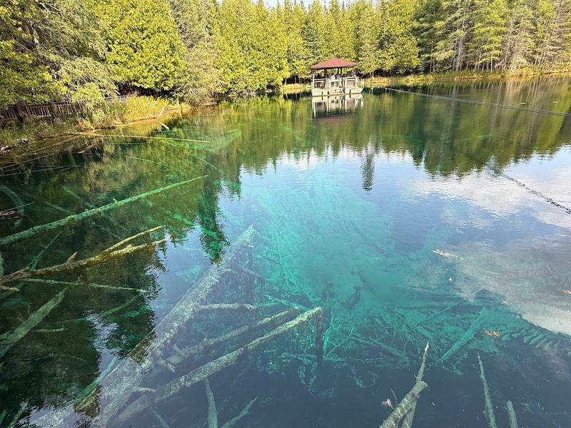 The Spring That Never Stops Flowing