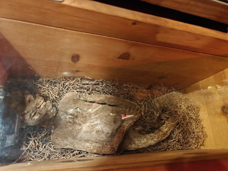 The Story Behind The Museum