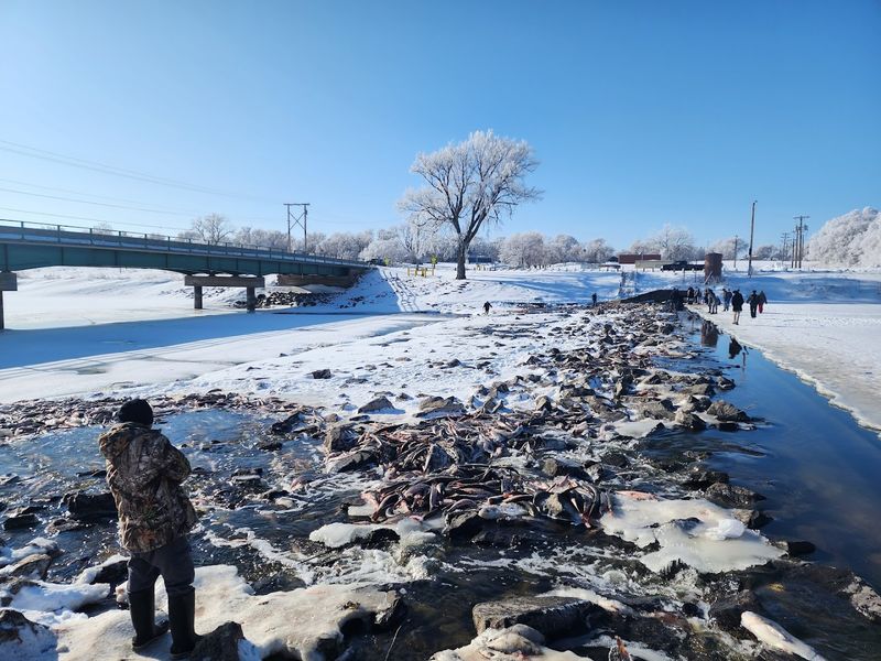 Outdoor Life And Pheasant Hunting Country