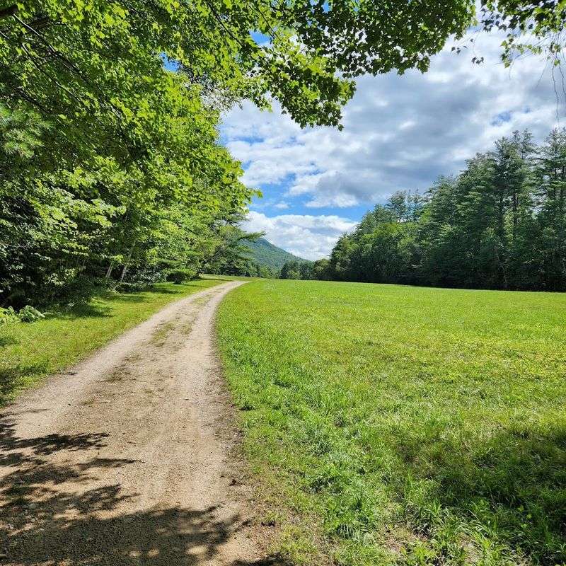 The Trail That Starts It All