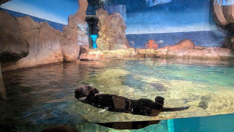 Calm, Huge, And Surprisingly Personal Atmosphere 