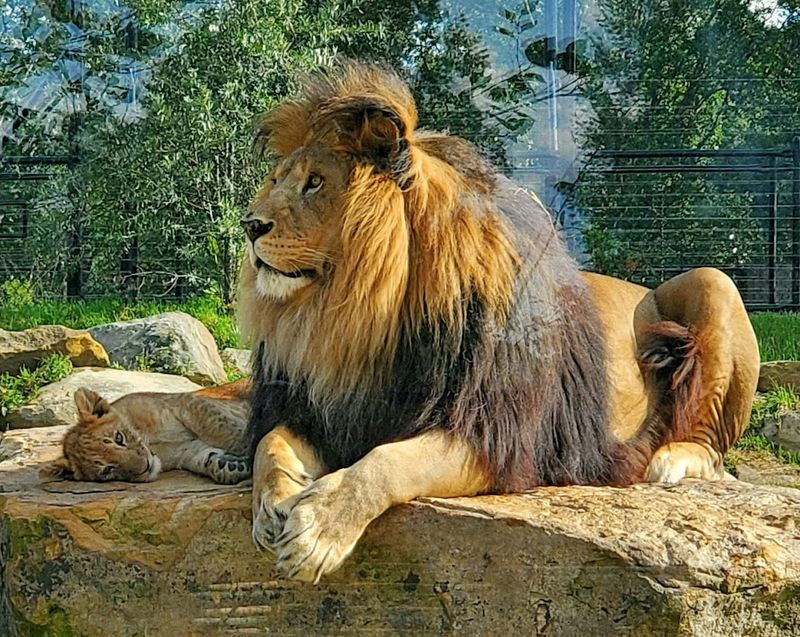 Why This Park Deserves A Spot On Your Pennsylvania Bucket List