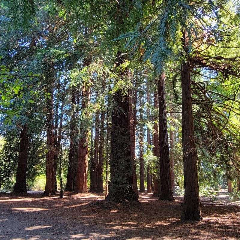 Meet The Northwest Trolls Project