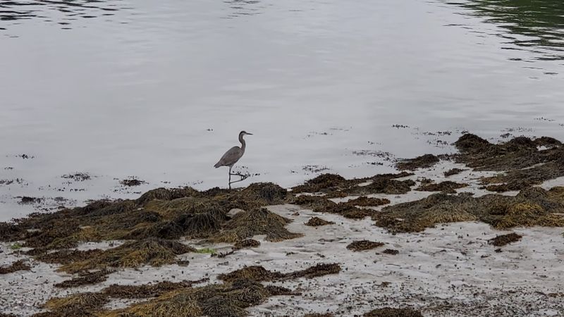 Wildlife Encounters You Will Not Forget