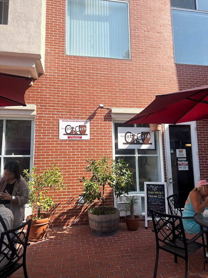 Practical Tips For Planning A Visit