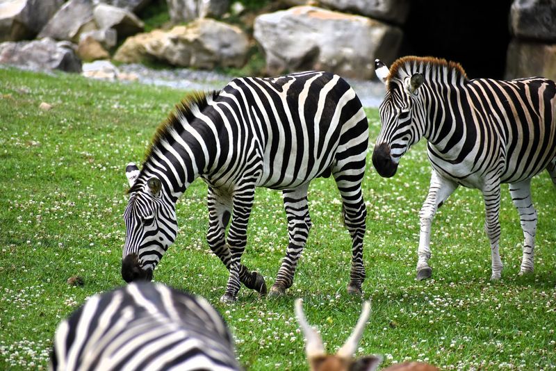 Best Times To Visit For The Ideal Experience