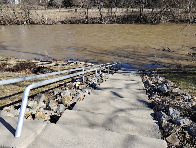 Wildlife Along The Riverbanks Worth Watching For