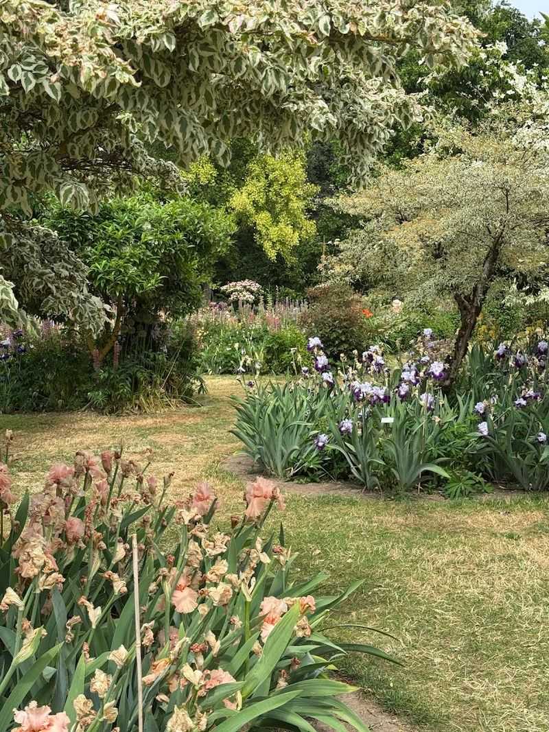 The Display Gardens Where Every Step Is A New Surprise