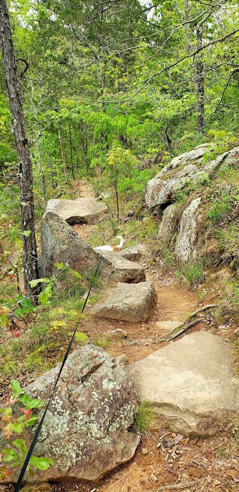 Getting There Without Getting Lost