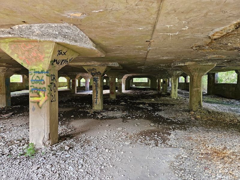 An Abandoned Paper Mill Many Visitors Miss