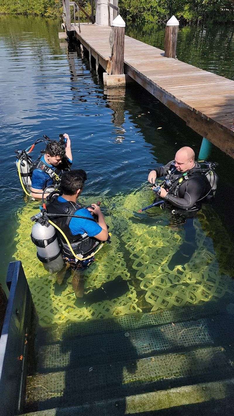 Unlimited Diving As Part Of The Experience
