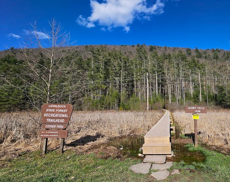 A Bit Of History Behind The Falls