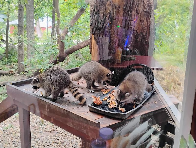 Planning A Visit To Alpine Inn In Omaha