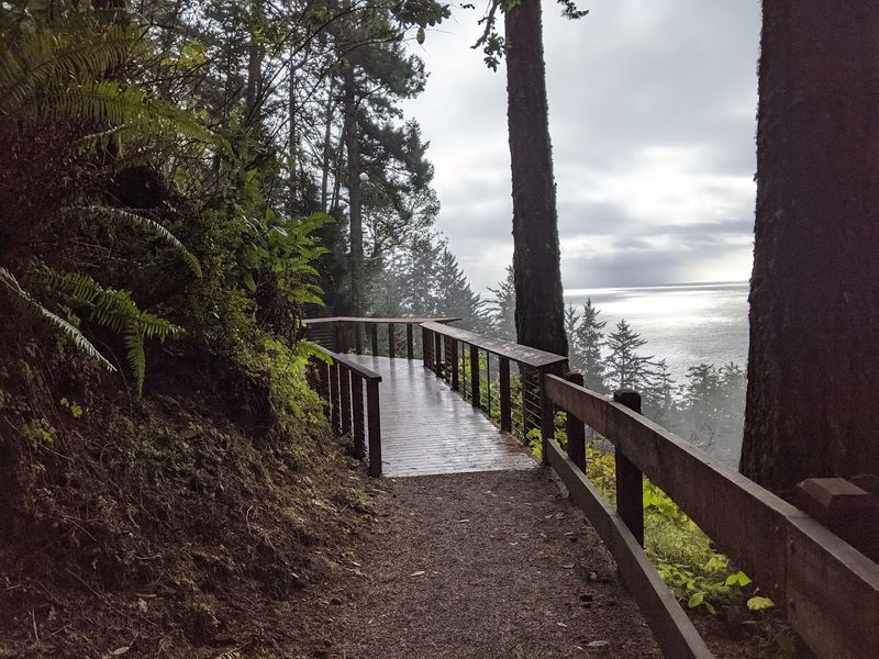 The Trail Layout And What To Expect