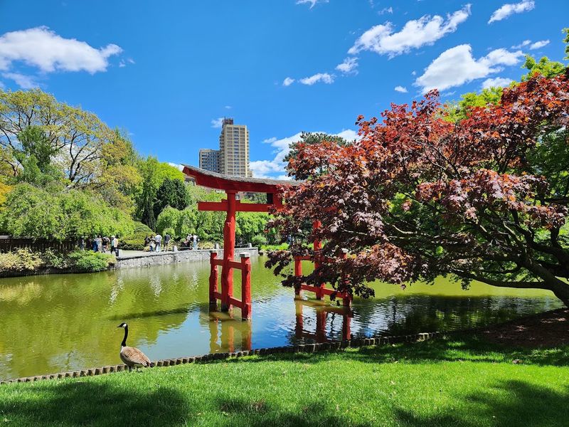 Prospect Park As The Perfect Backdrop
