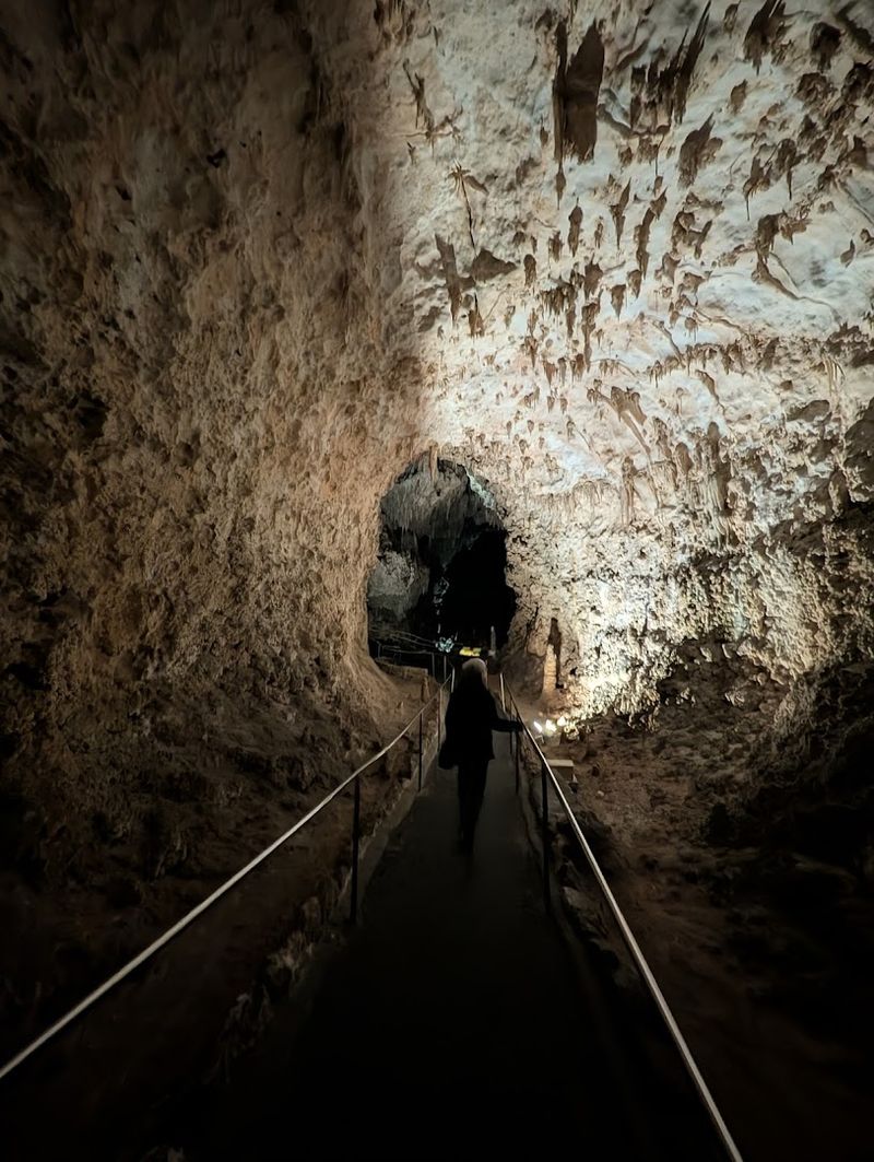 Planning Your Visit For The Best Experience