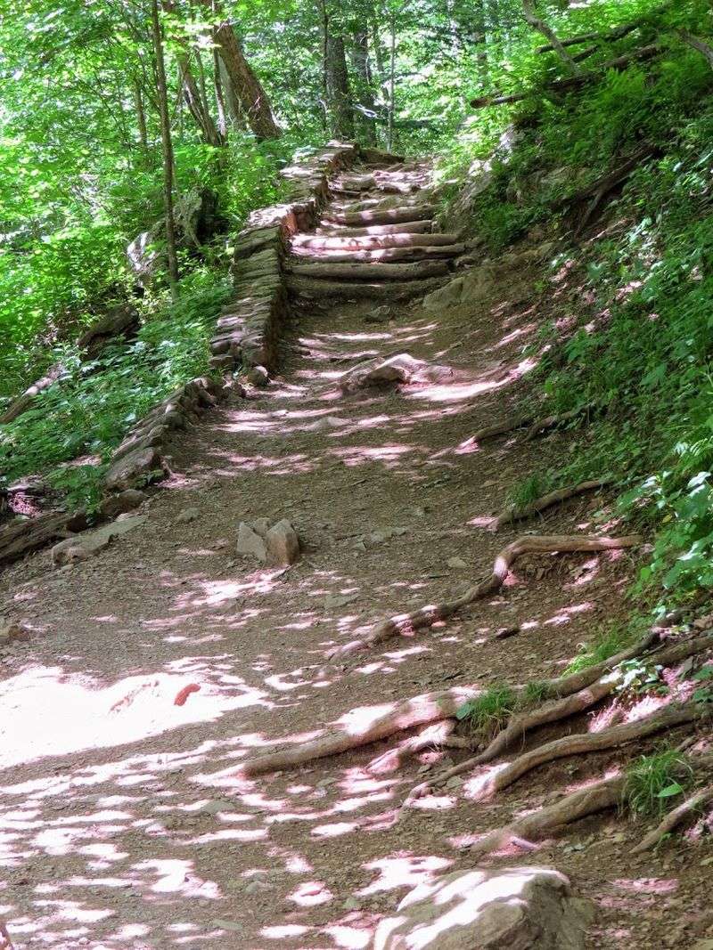 What To Know About The Path Ahead