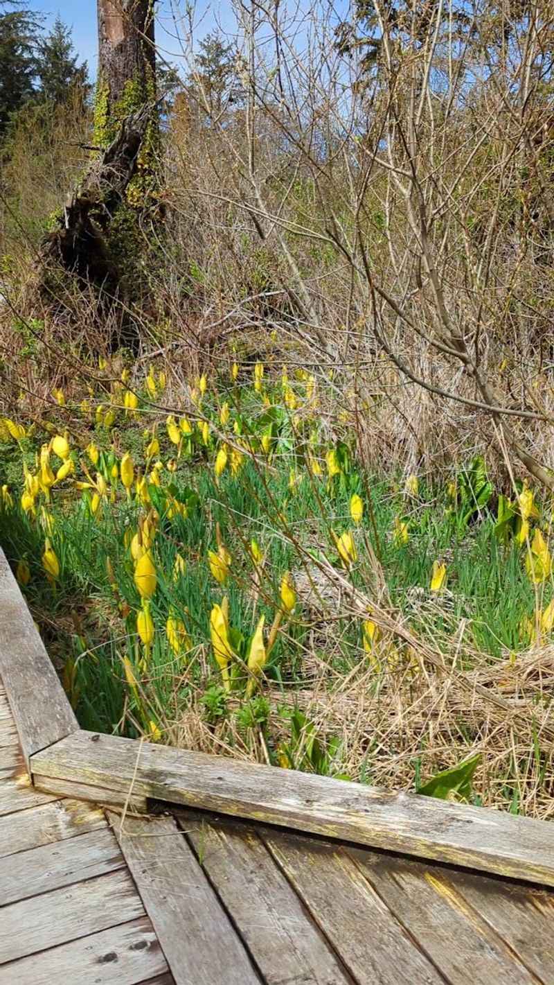 Dog-Friendly And Genuinely Welcoming