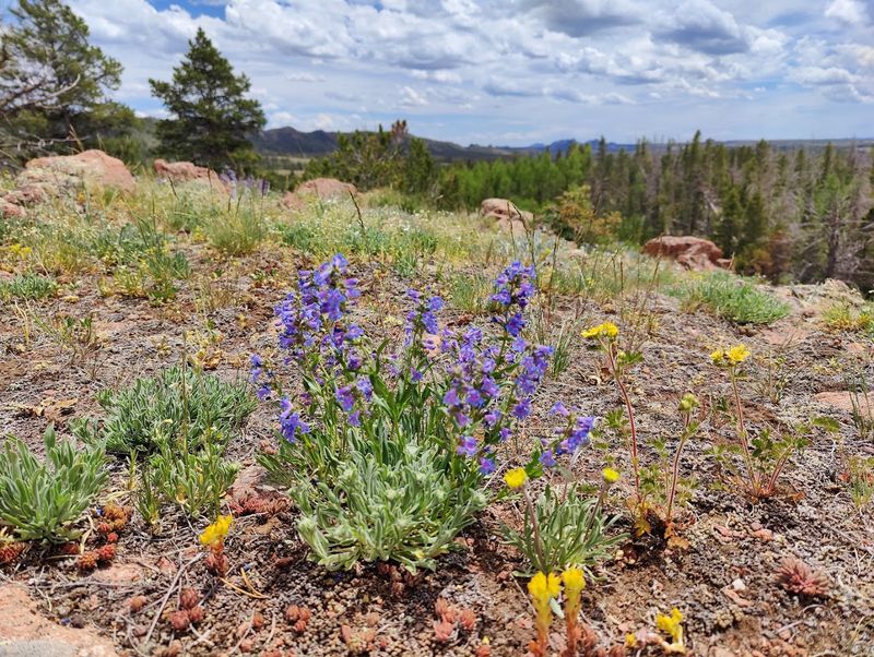 Planning Your Visit For The Best Experience
