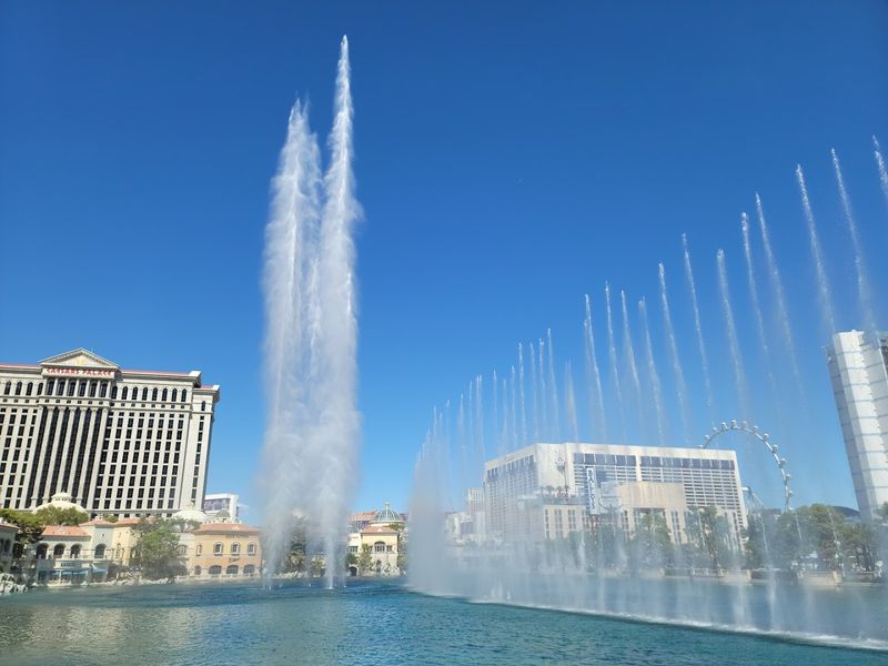 The Music That Makes It Magic