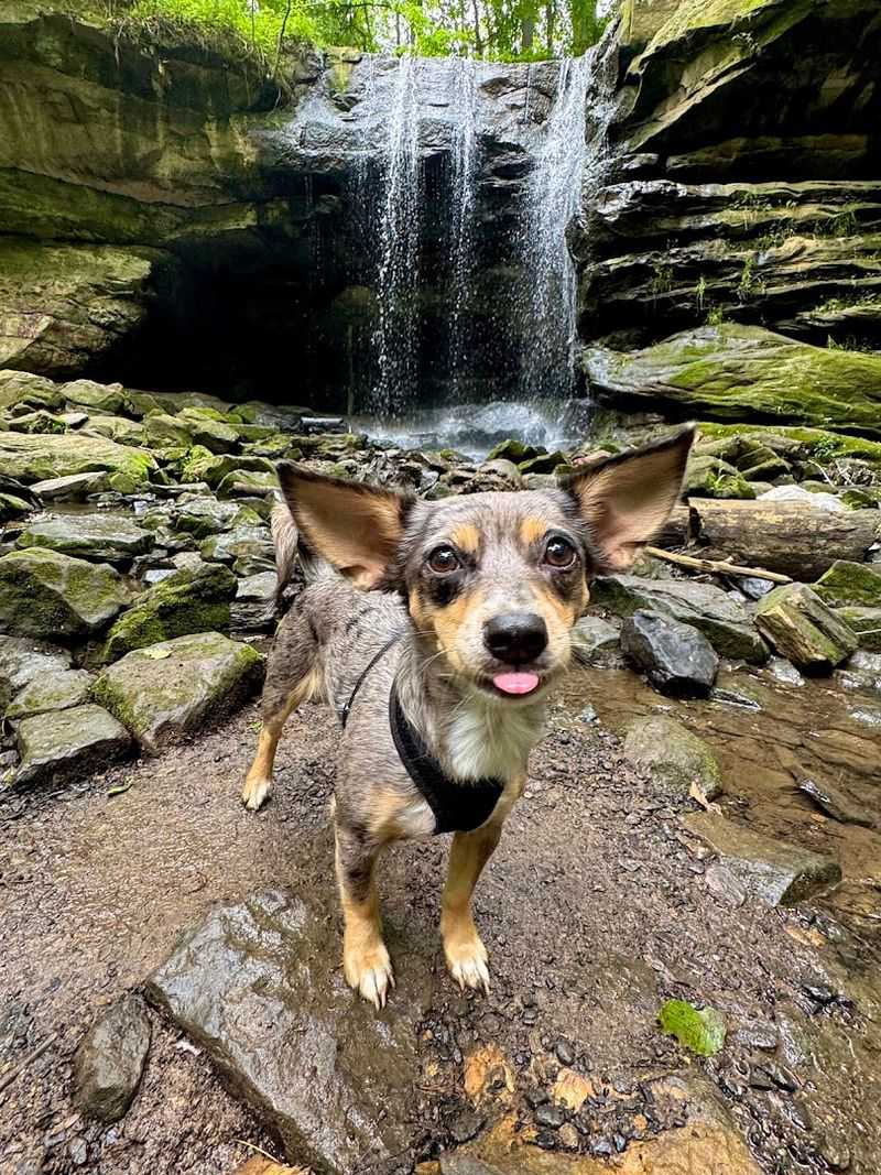 Why This Spot Deserves More Attention Than It Gets