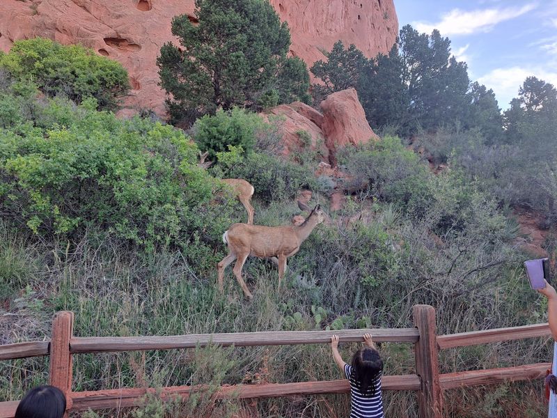 Wildlife Surprises Along The Way