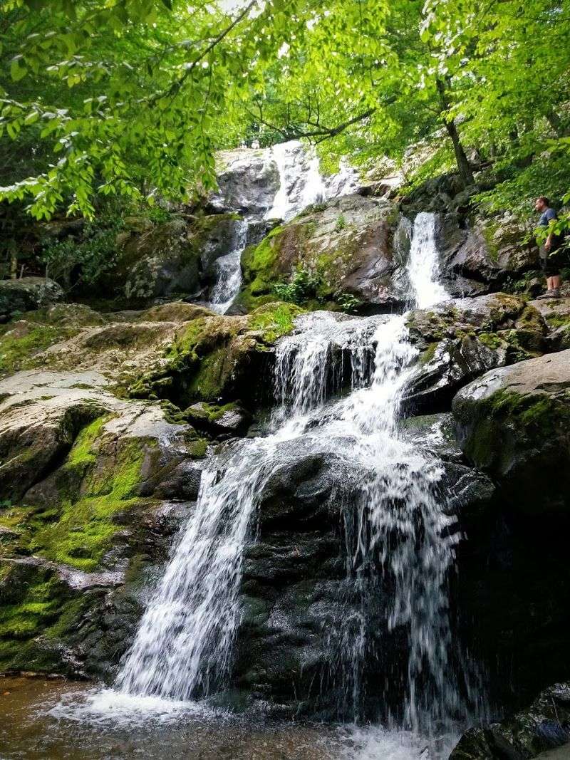 The Waterfall That Makes Every Step Worth Taking