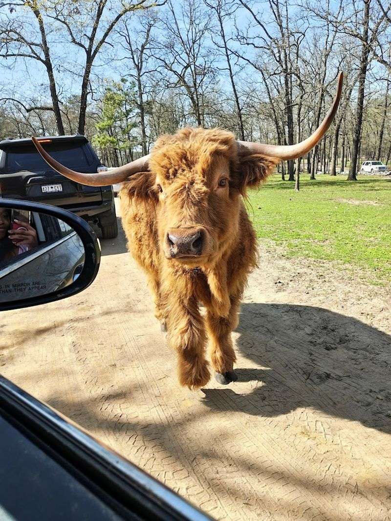 Perfect For Families With Kids Of All Ages